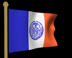 NYC Flag